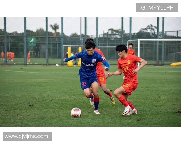 足球小将欧洲杯全新冒险52集全剧情回顾与精彩瞬间分享